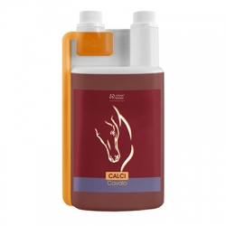 OVER HORSE Calci Cavalo 1000 ml