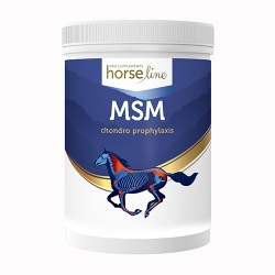 HorseLine PRO MSM 3000 g