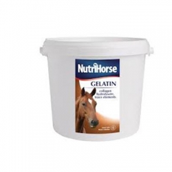 NUTRI HORSE Gelatin 1000 g