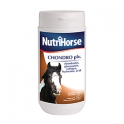 NUTRI HORSE Chondro 1000 g proszek