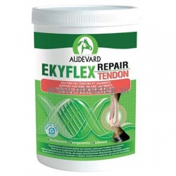 AUDEVARD Ekyflex Tendon EVO 900 gr