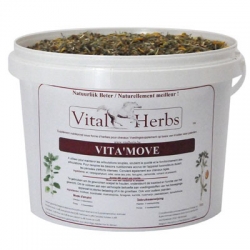 VITAL HERBS Vita Move 1000 g