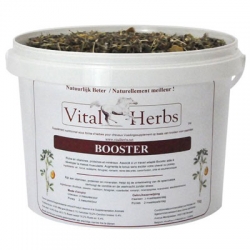 VITAL HERBS Booster 1000 g