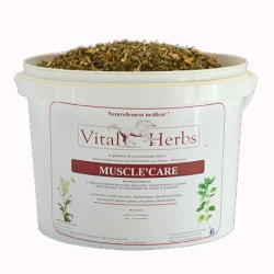 VITAL HERBS Muscle Care 1000 g