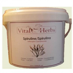 VITAL HERBS Spirulina 1000 g