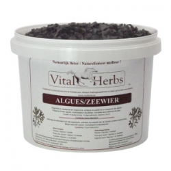 VITAL HERBS Seaweed 3000 g