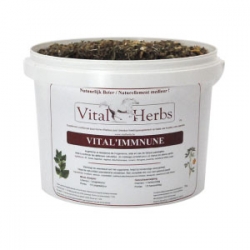 VITAL HERBS Vital Immune 1000 g