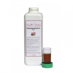 VITAL HERBS Czarci pazur w płynie 1000 ml