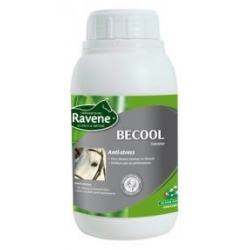 RAVENE Becool 500 ml.