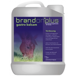 BRANDON Gastro Balsam 2500 ml