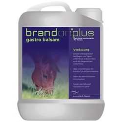 BRANDON Gastro Balsam 2500 ml