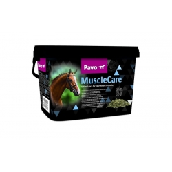 PAVO Muscle Care 3000 g