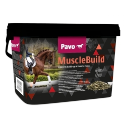 PAVO Muscle Build 3000 g